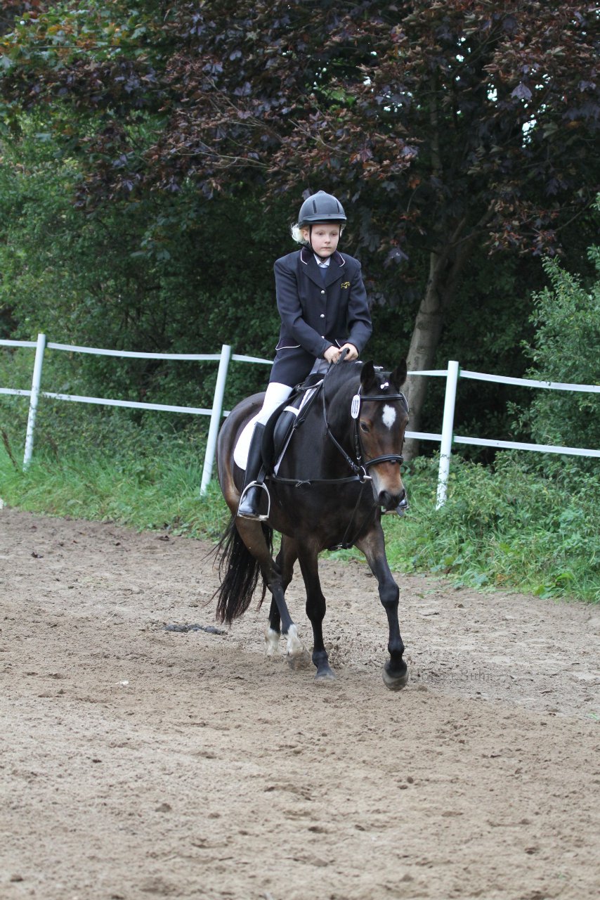 Bild 1038 - WBO-Turnier am 18.9.11